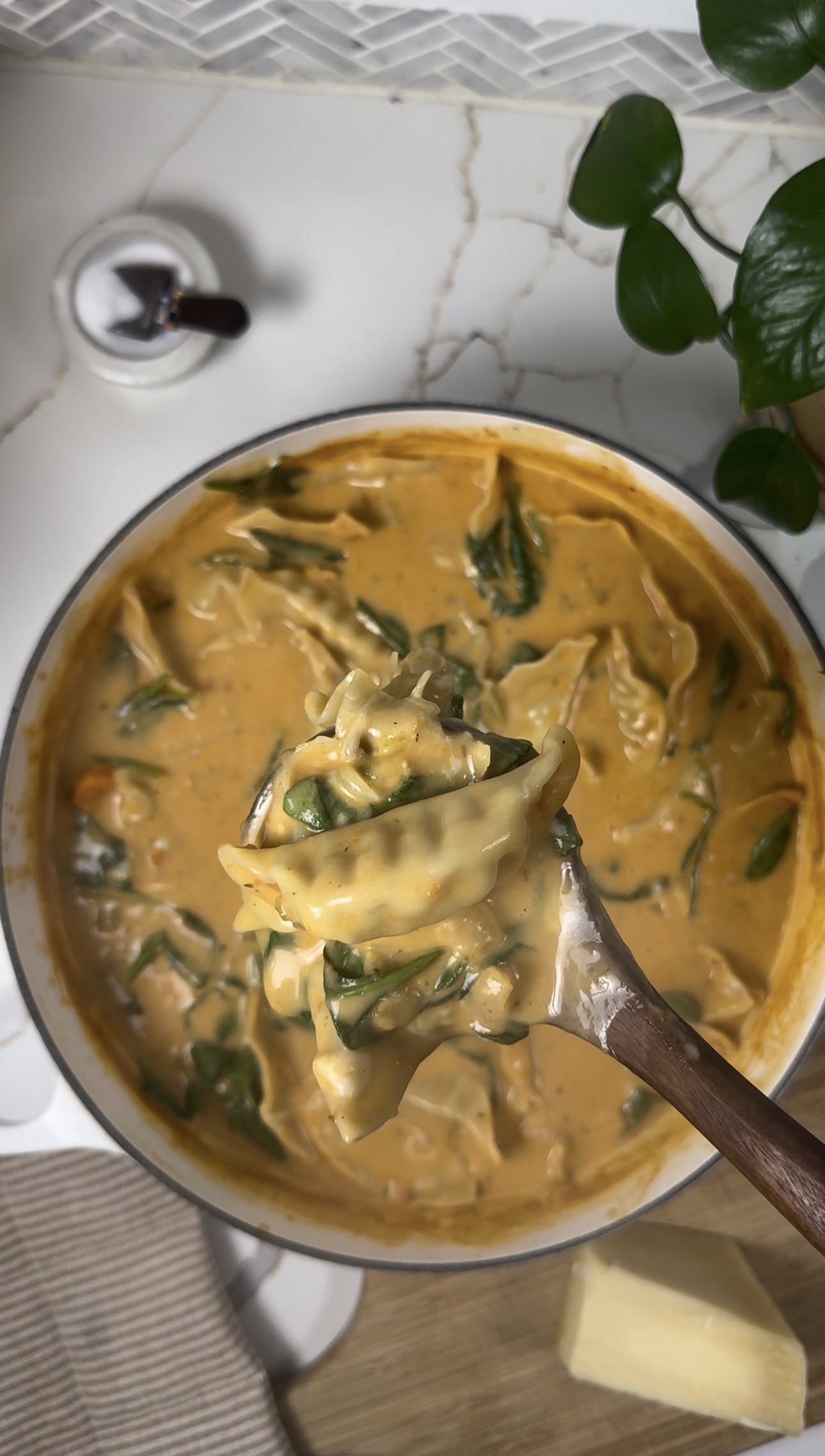 Creamy Dumpling Soup