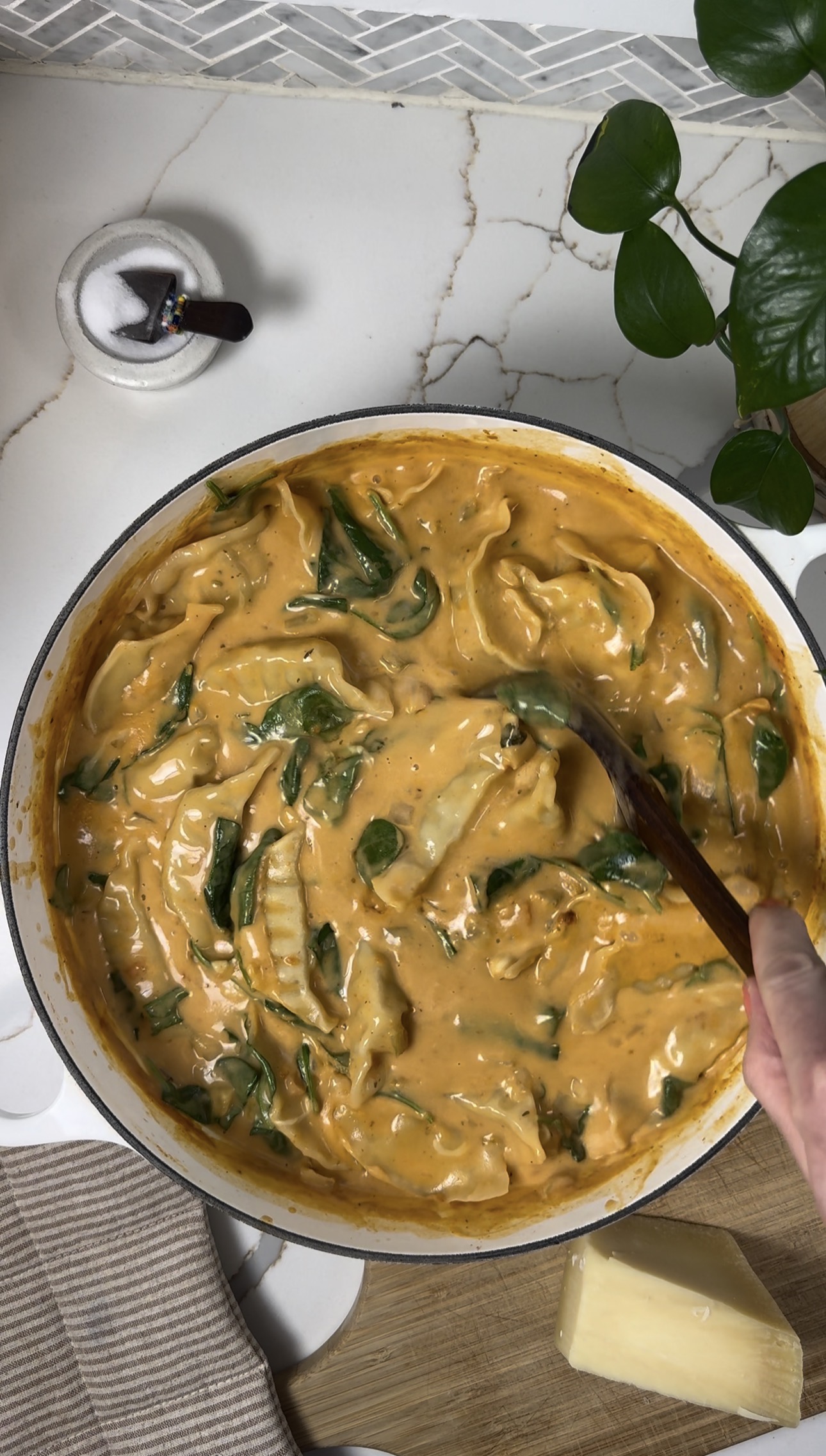 Creamy Dumpling Soup