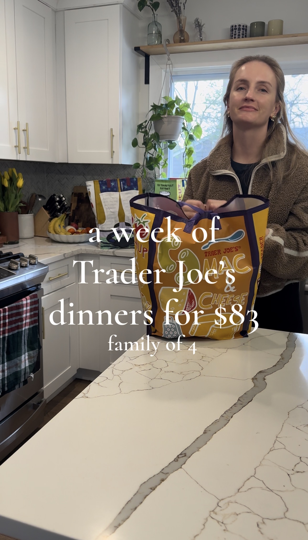 5 Trader Joe’s recipes for $83 (Grocery List + Recipes)