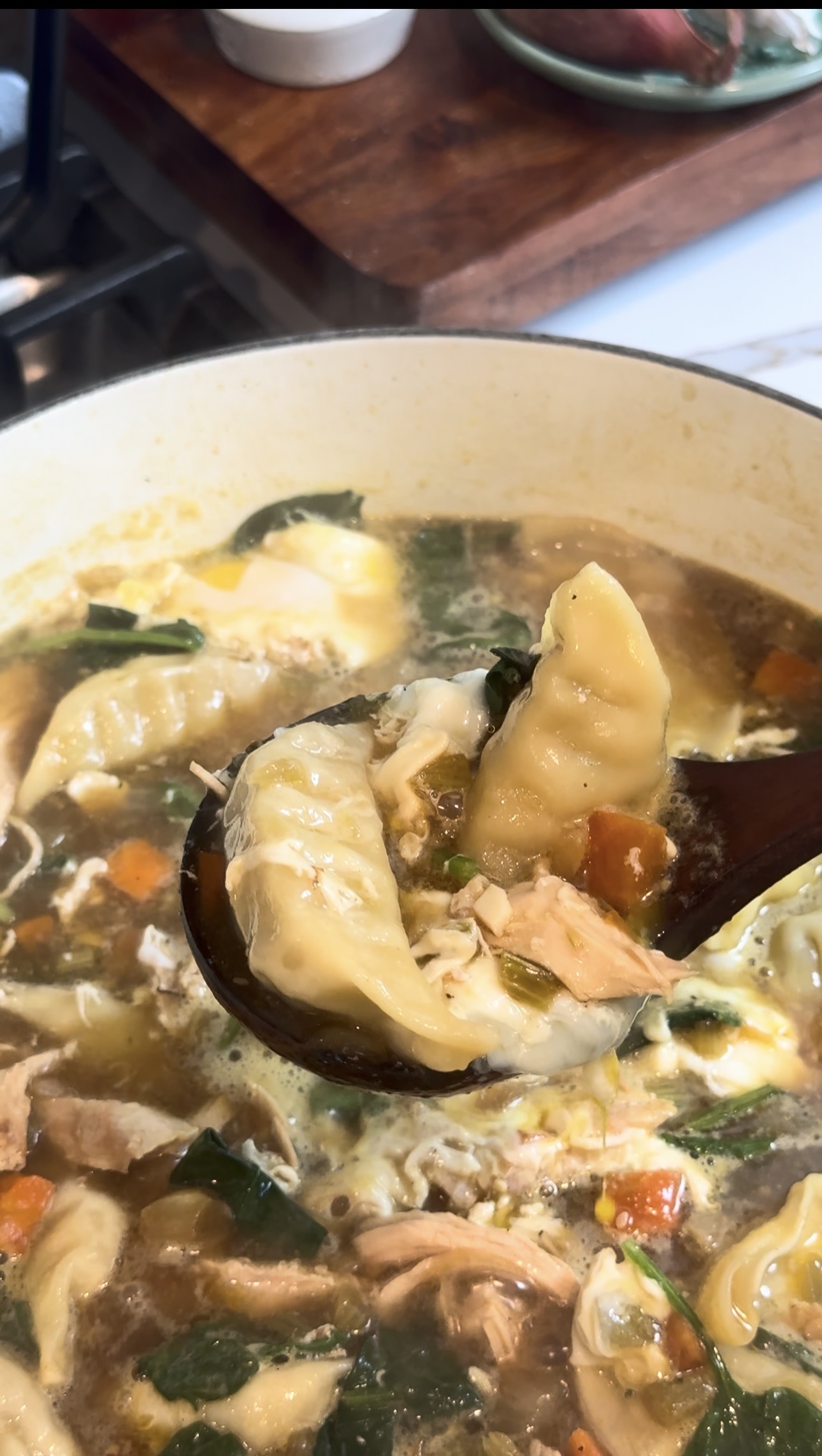 Dumpling Soup 