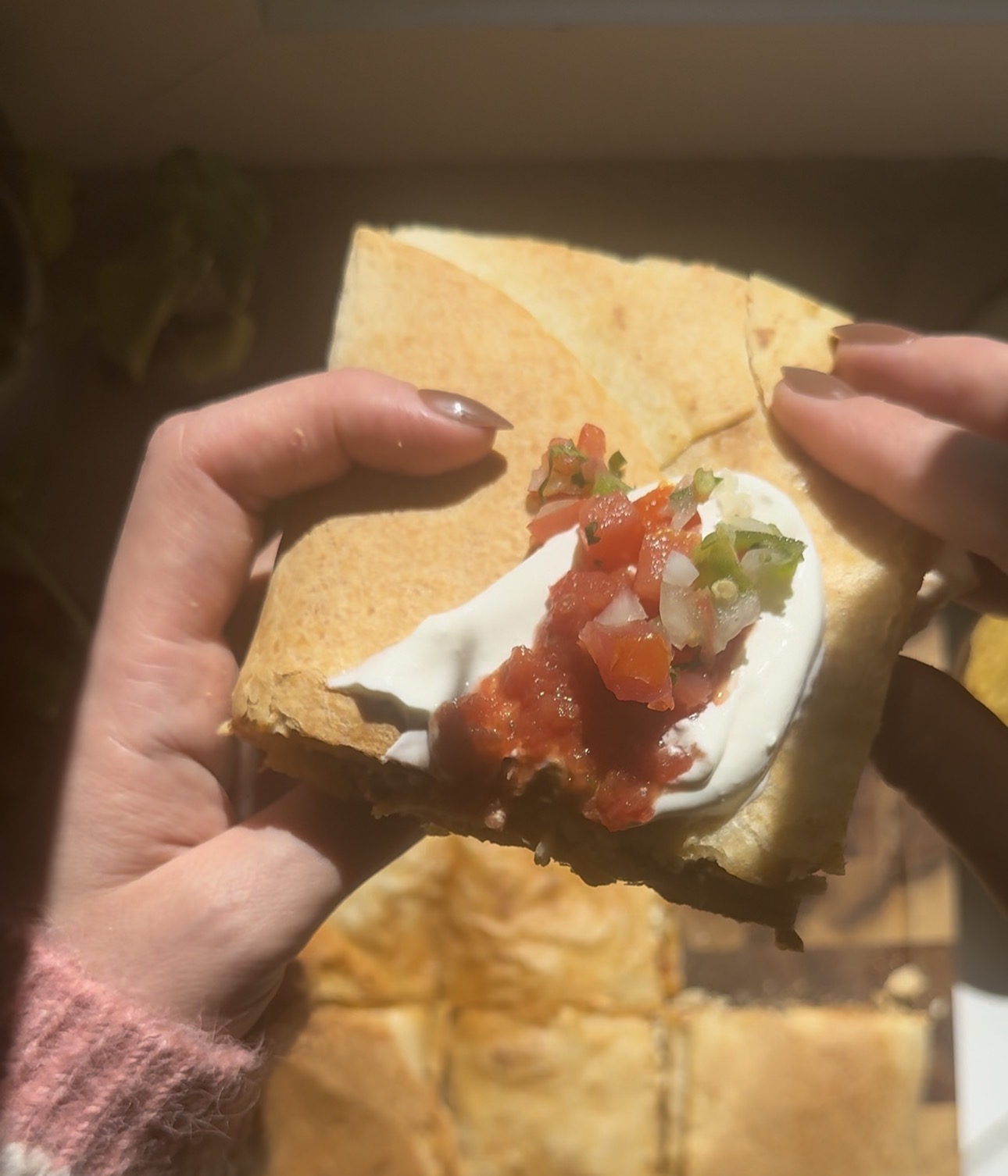 Crunchy Quesadilla