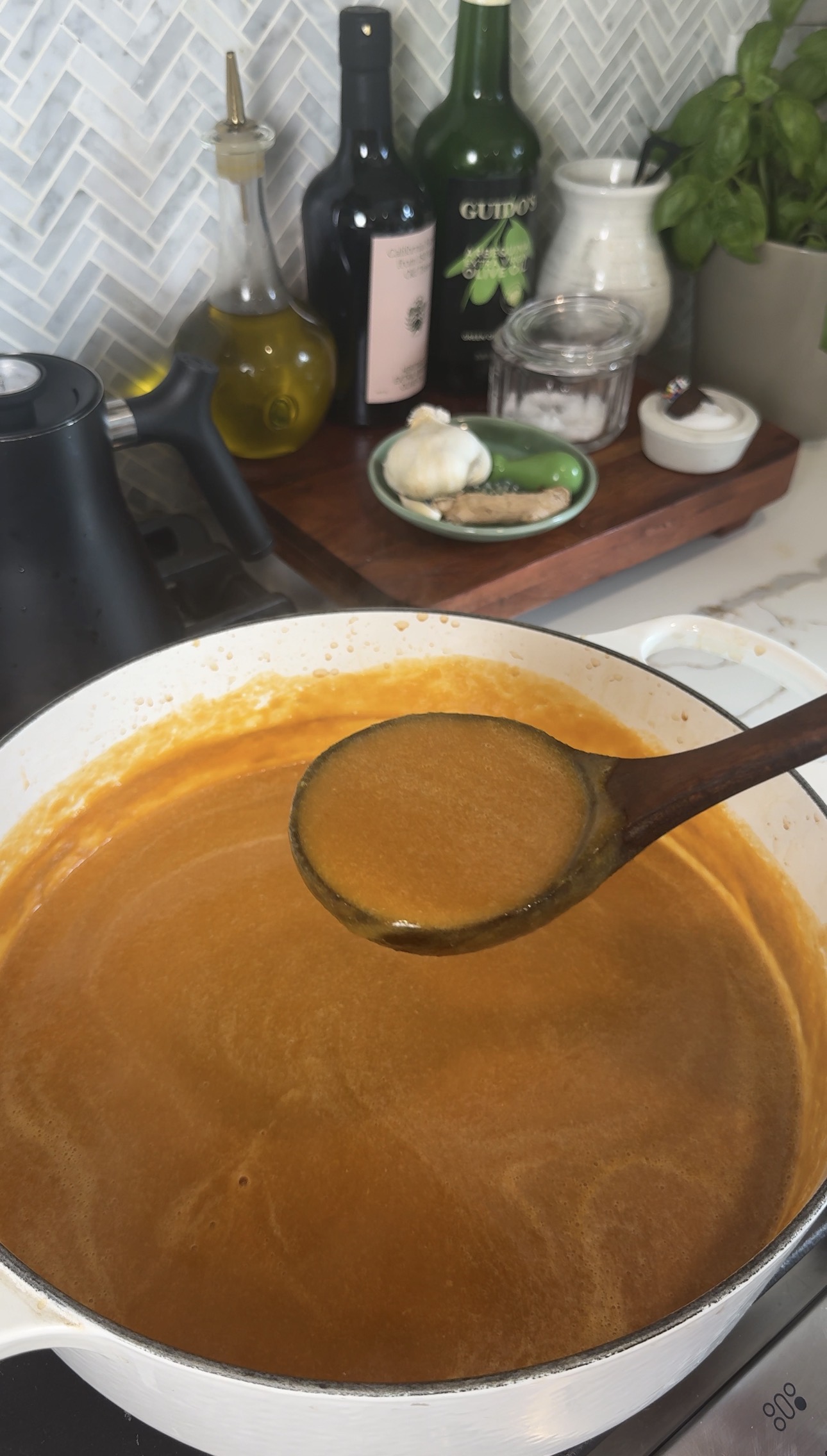 Italian penicillin soup
